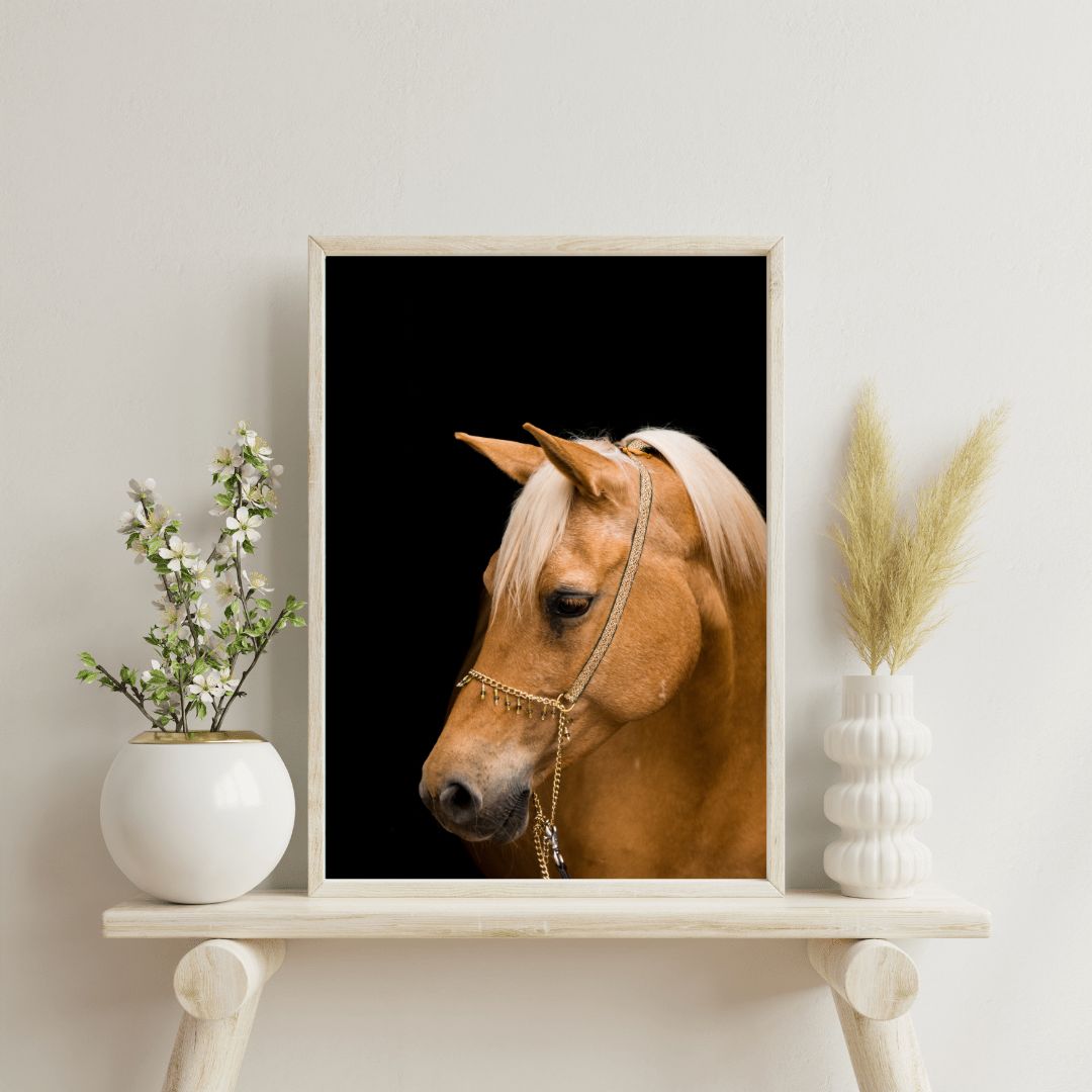 Cuadro de Caballos XV