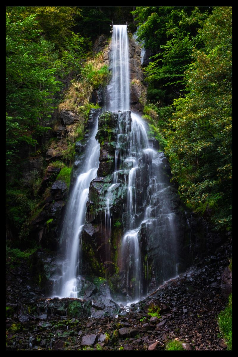 Cuadro Paisajes I