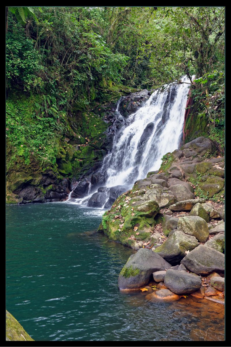 Cuadro Paisajes IV
