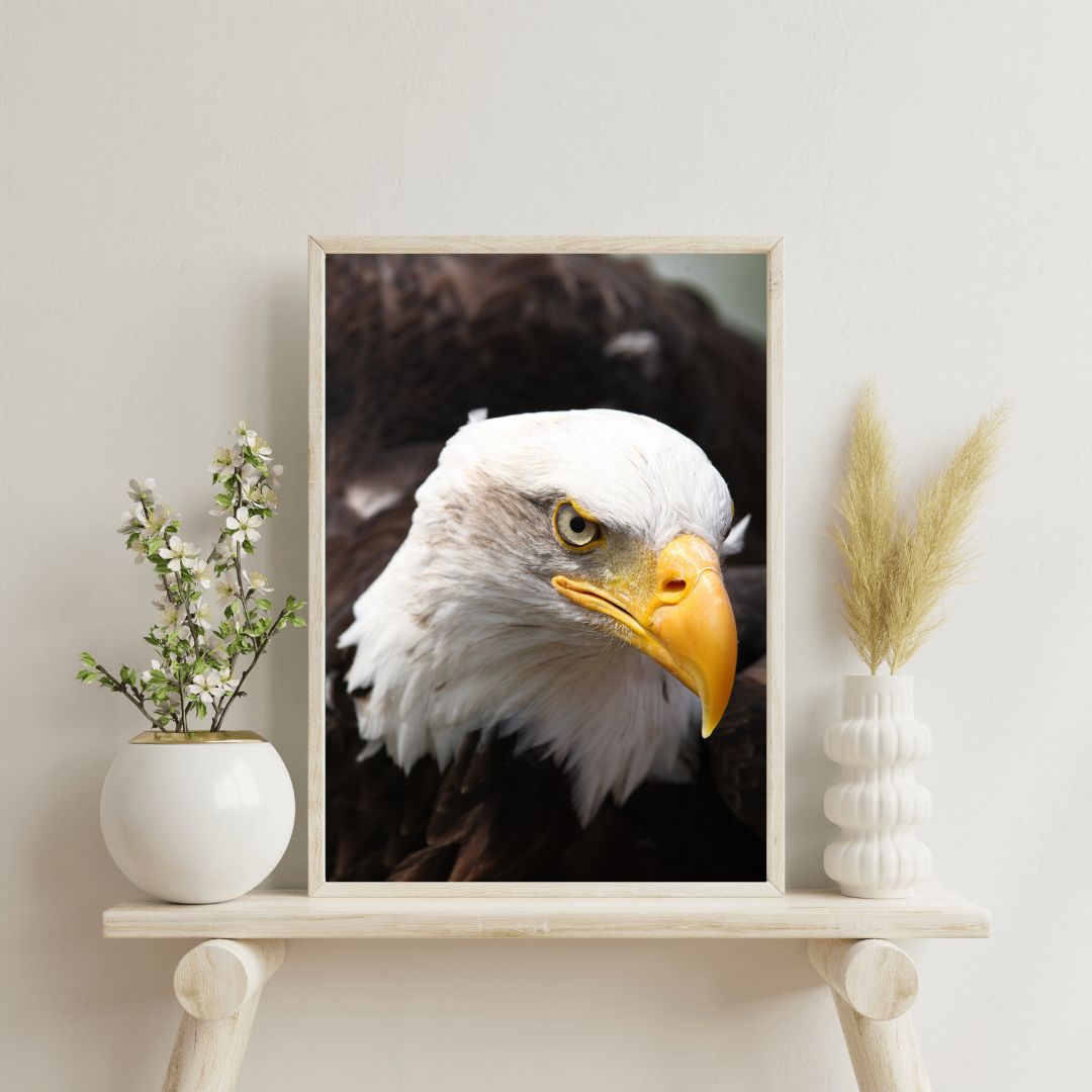 Cuadro Pájaros VII